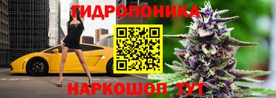 амф Краснодар