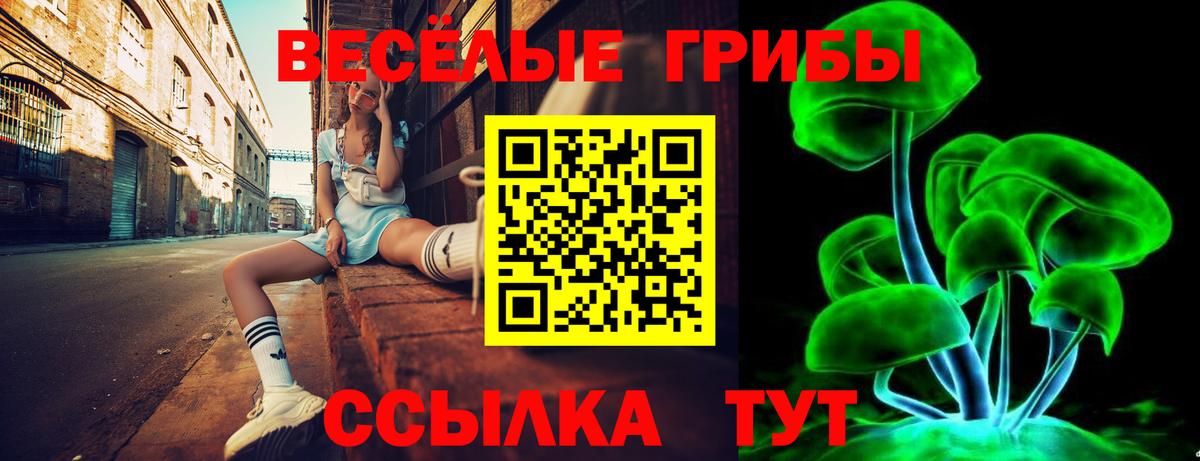 Псилоцибиновые грибы Cubensis Балтийск